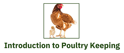 Lecture Series - Introduction to Poultry Keeping